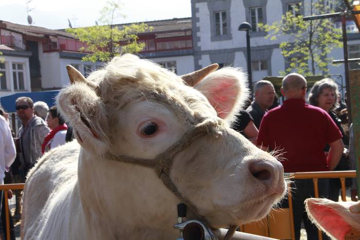 Dolumin Barikuak eta Korrika 1 1491596642291