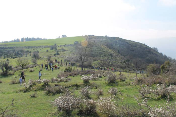 Jende ugarik parte hartu zue 42 1490025177152