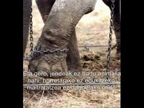 Animaliekiko tratu txarrak
