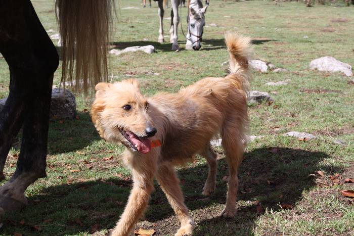 Sanbitoresak ospatzeko ehunk 40 1504509654286