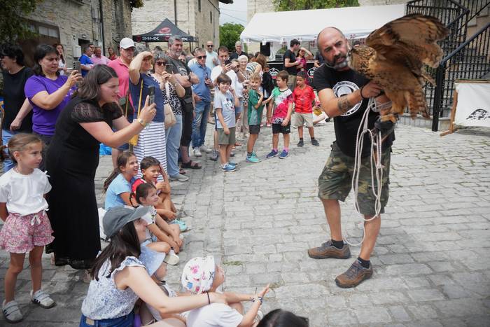 Falkoneria ikuskizuna antola 24 1752934026249