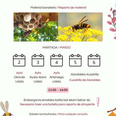 Liztor asiarraren harrapaketa kanpaina: Material banaketa