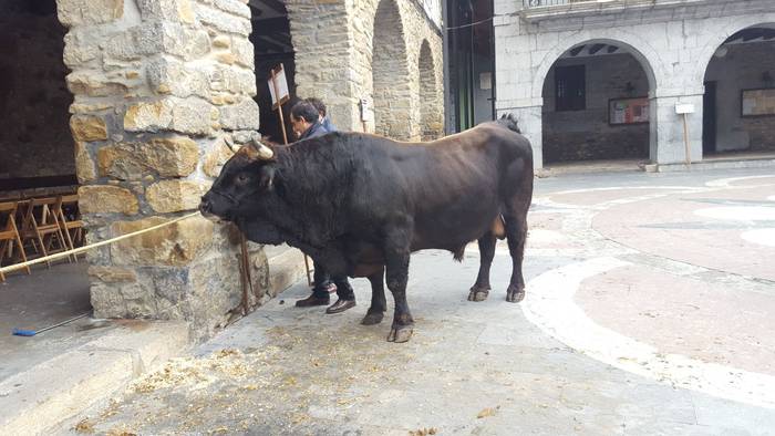 Landa mundua herrigunera jai 3 1510425280532