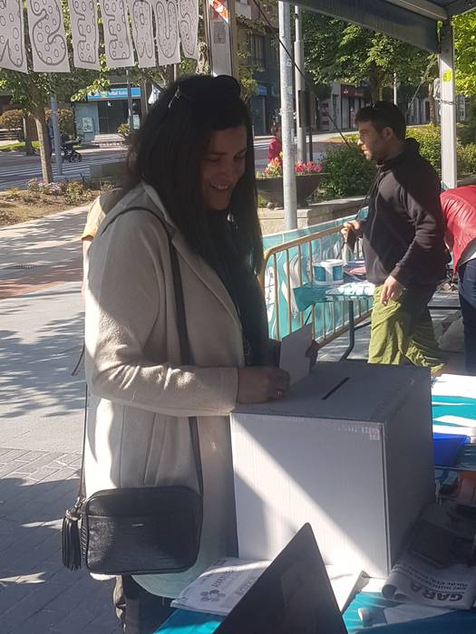 Amurrioko herri kontsulta