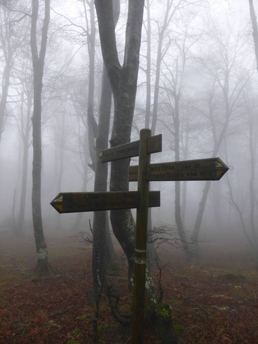 Laino artetik Santa Elena me 21 1511892594319