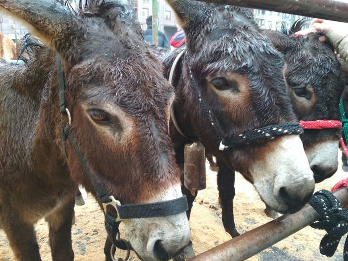 Ehunka lagunek berotu dute D 2 1521813710594