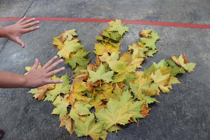 ARGAZKIEKIN JOLASEAN 4 1510746960886