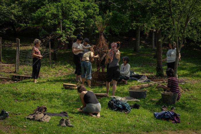 Basa zikloak lokatzetik Fakt 18 1777364277359