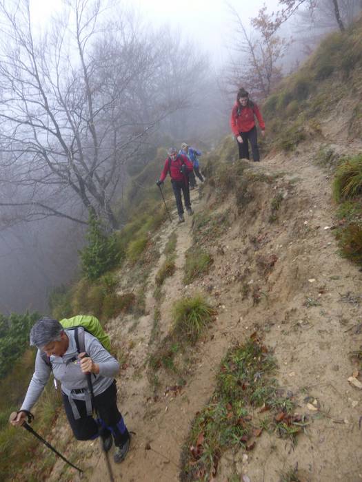 Laino artetik Santa Elena me 11 1511892523440