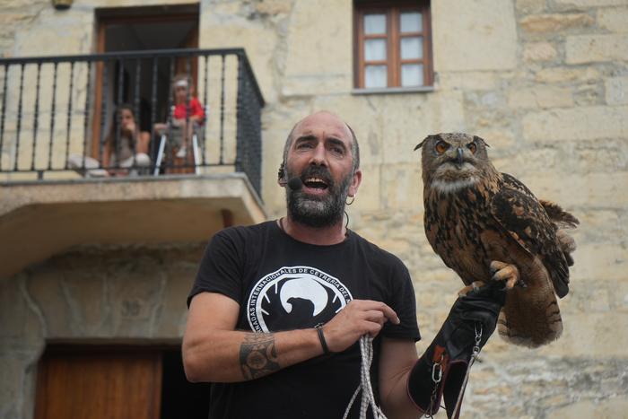 Falkoneria ikuskizuna antola 27 1752934062013