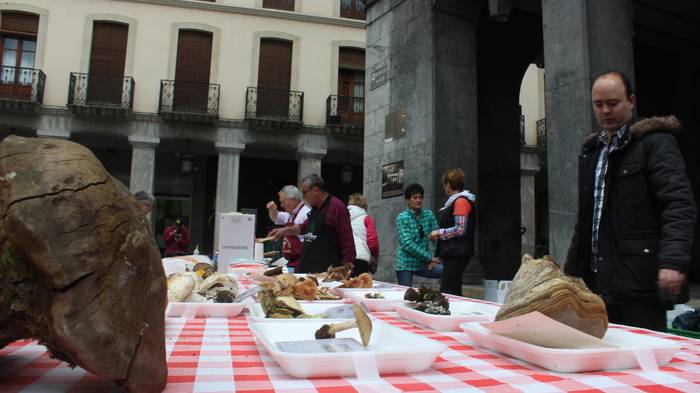 Gure Esku Dago plataformak e 7 1523791929287