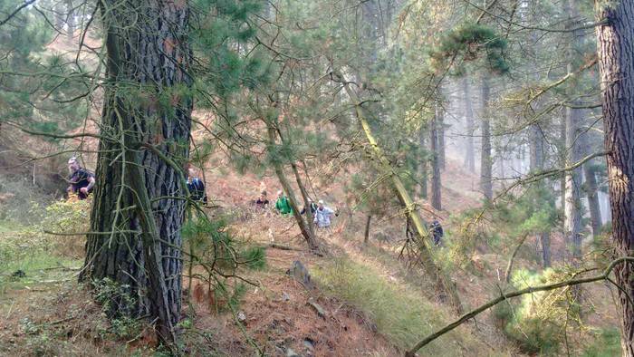 Herriko mendietako buzoiak b 10 1490130924139