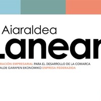 Aiaraldea Lanean: Jasangarritasunari buruzko jardunaldia