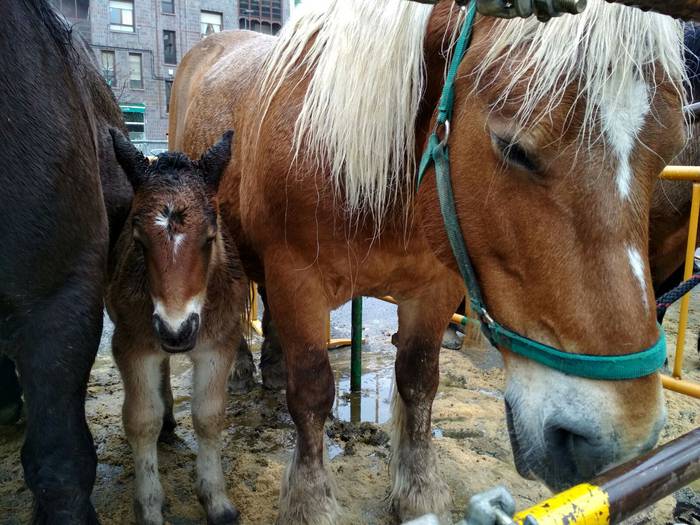 Ehunka lagunek berotu dute D 26 1521814097634