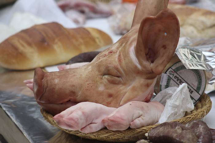 Ehunka ekoizlek eta bisitari 44 1516542054619