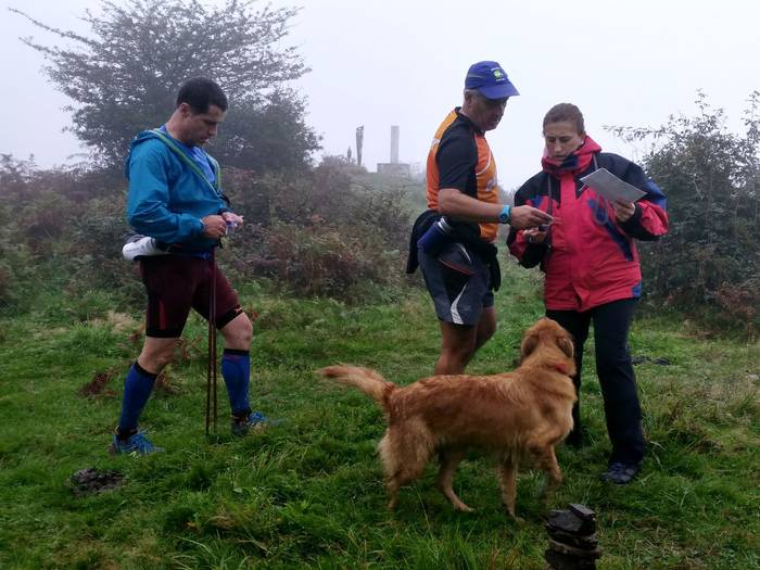 Positiboko baloratu dute Oko 16 1507154098102