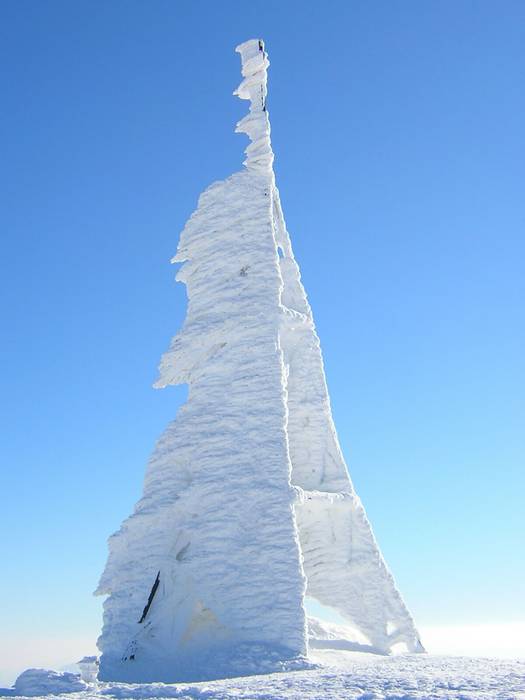 Edu Markinezen argazkiak 2 1513703366519