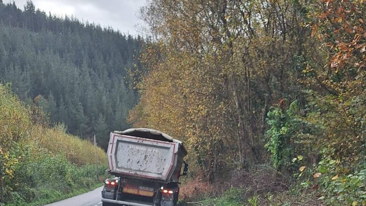 Zuhatzan kamioi bat errepide ertzean geratu da harrapatuta