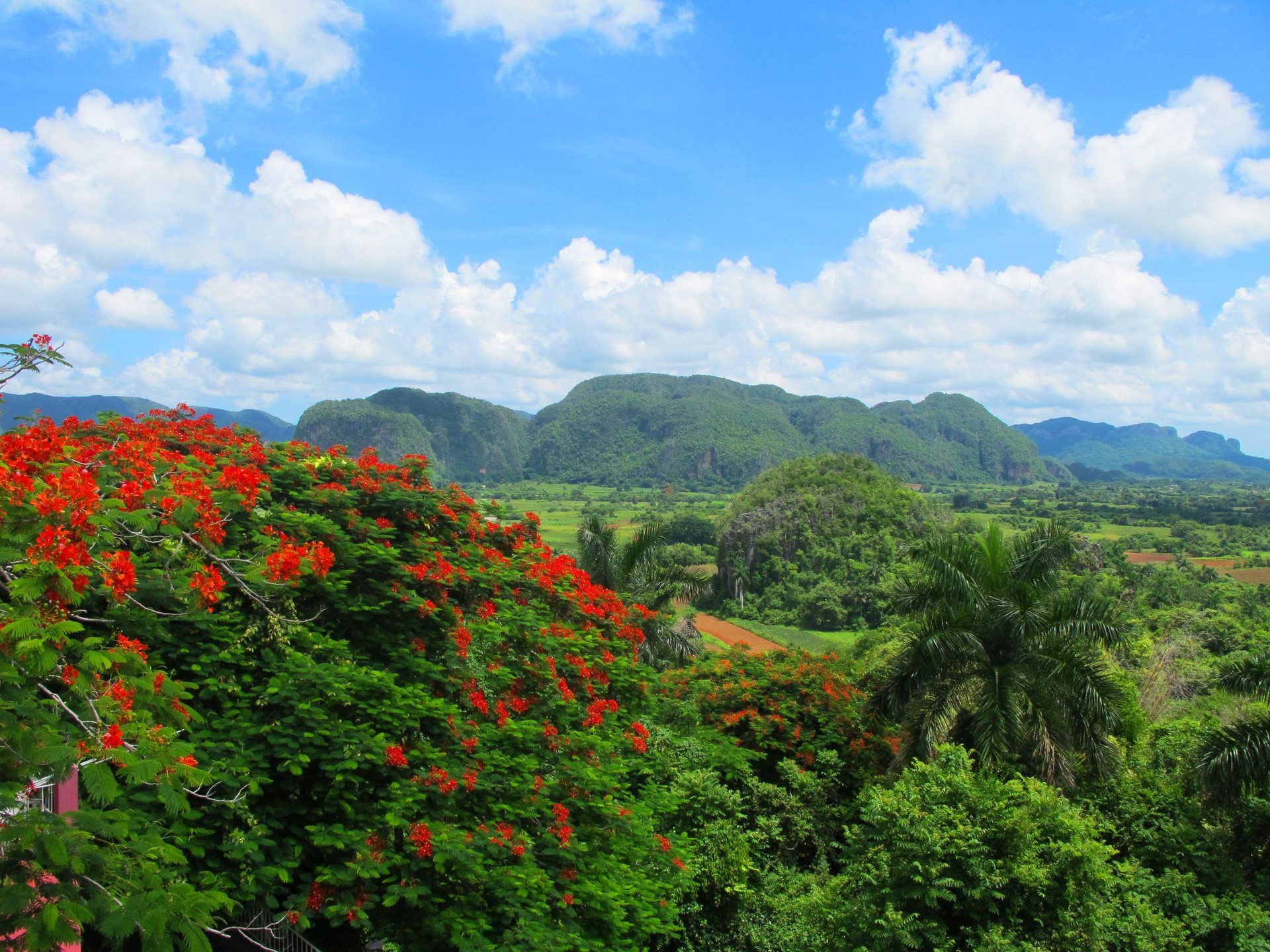 Viñaleseko harana, Cuba