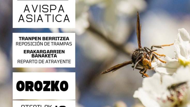 Liztor asiarrari buruzko hitzaldia