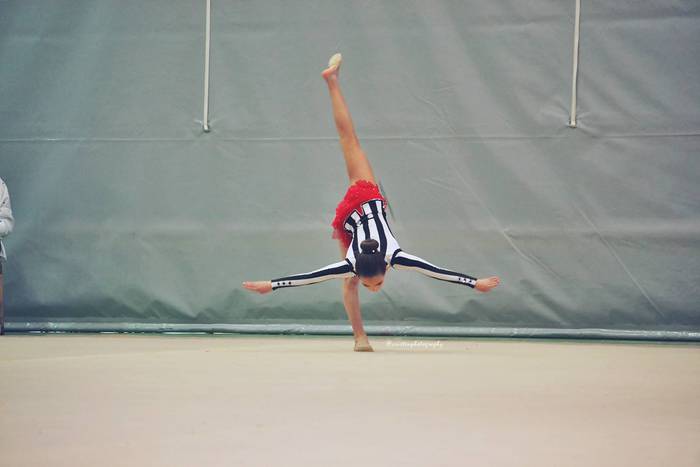 Dozenaka parte hartzaile X.  64 1490877250041