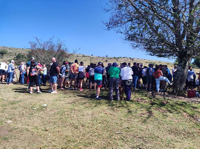 Aiaraldear ugari batu ziren  11 1757316266407