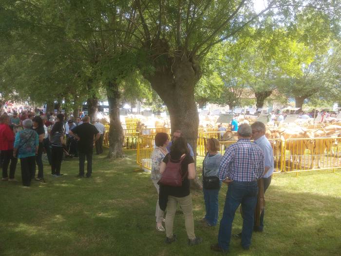 San Isidro Azokak jende ugar 65 1494853294413