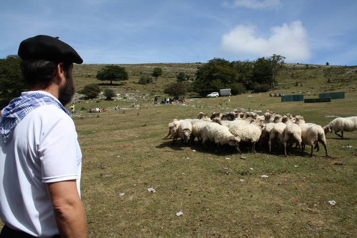 Sanbitoresak ospatzeko ehunk 55 1504510024427