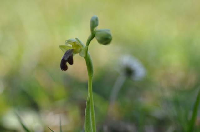 Itzultzeak 3 1619015038855