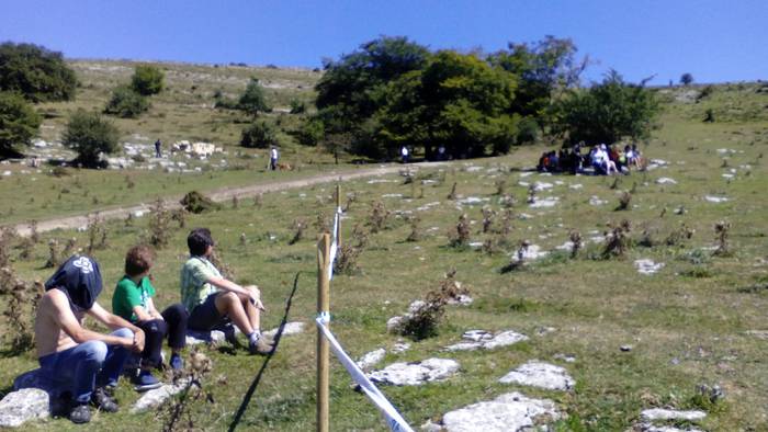 Artzainak izan ziren nagusi  57 1535893496330