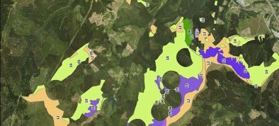 Udal mendien Baso Kudeaketa Iraunkorraren Plan Teknikoa behin-behinean onartu da