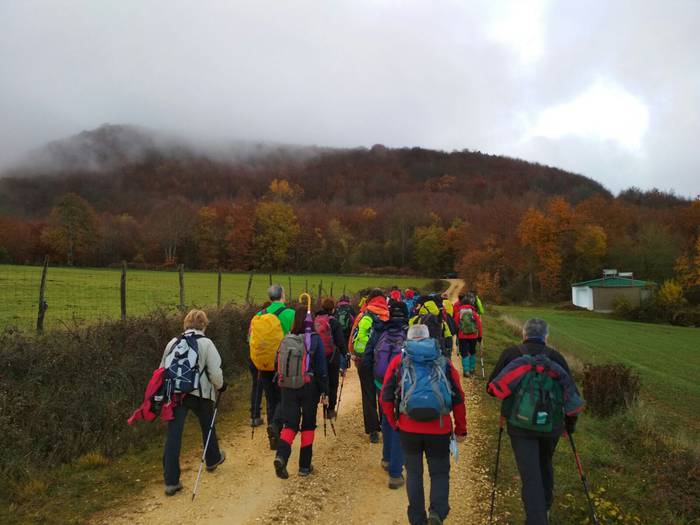 Laino artetik Santa Elena me 4 1511892469015