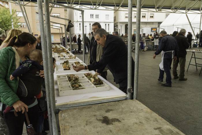 Gastronomia eta mikologia uz 3 1509954996298