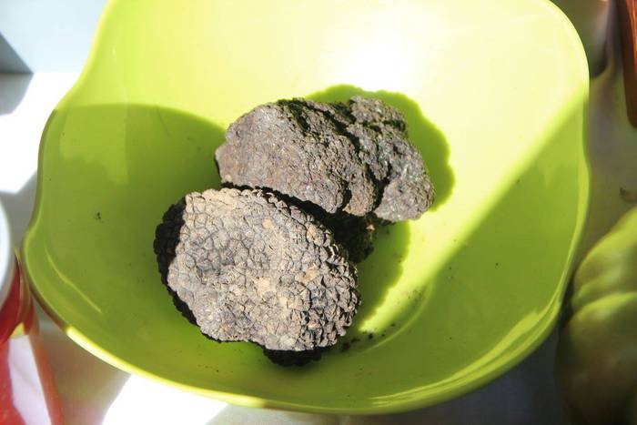 Folk doinuak eta marmitako t 51 1504428881431