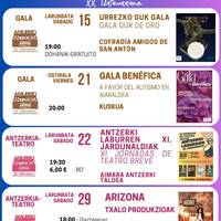 Autismoa duten herritarren aldeko elkartasun gala