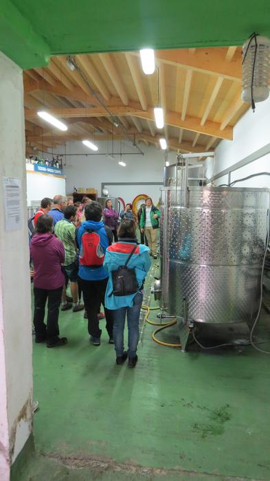 Herriko egitura geologikoa e 54 1508828208010