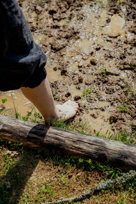 Basa zikloak lokatzetik Fakt 3 1777364177581