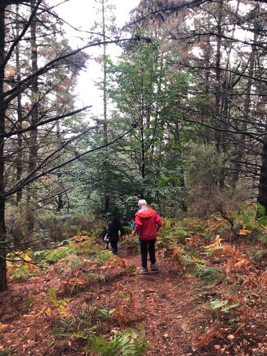 Familia giroa nagusi Arranku 13 1758523828673