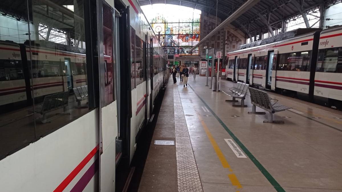 Erabateko kaosa C-3 tren zerbitzuan Aiaraldean