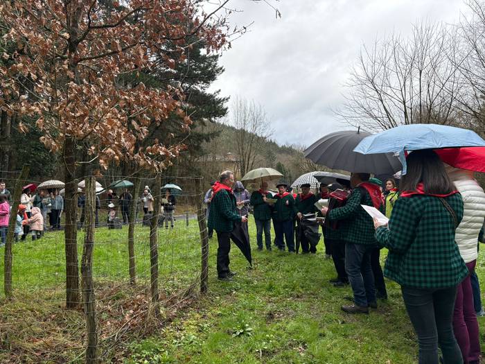 Gernikako zuhaitzaren kimua  34 1770844281599