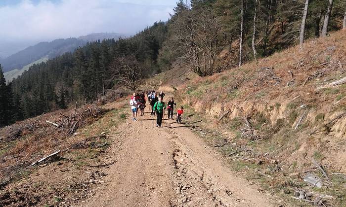 Herriko mendietako buzoiak b 8 1490130906000