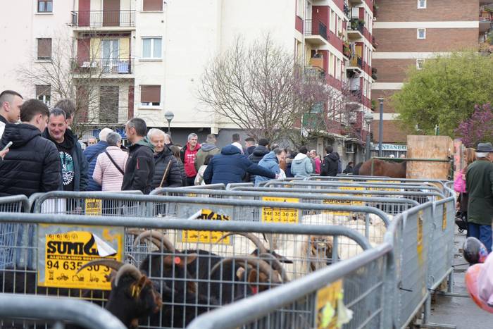 Euriak ez du zapuztu Dolumin 15 1774623095022