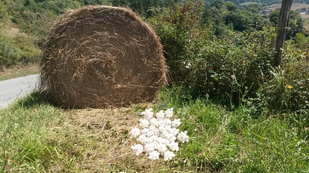 Fardoak birziklatzeko sistema berria abiatu dute