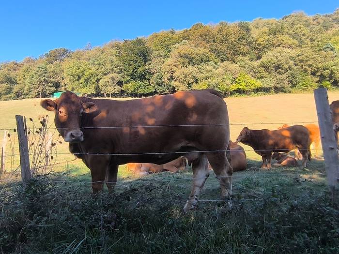 Adin guztietako mendizaleek  43 1760277217484