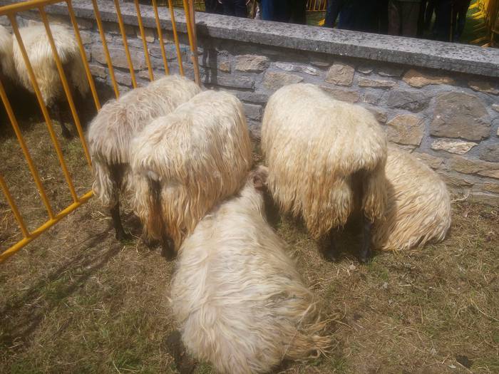 San Isidro Azokak jende ugar 46 1494852678651