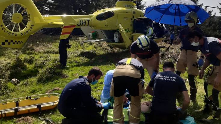 Langile batek istripua izan du mendian, zuhaitza gainera erori ostean