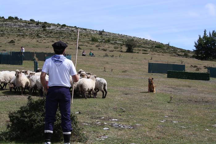 Sanbitoresak ospatzeko ehunk 60 1504510147879