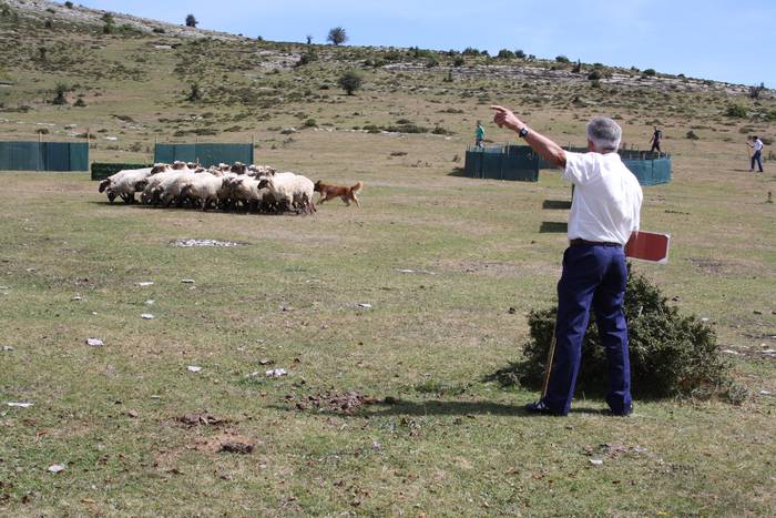 Sanbitoresak ospatzeko ehunk 53 1504509967335