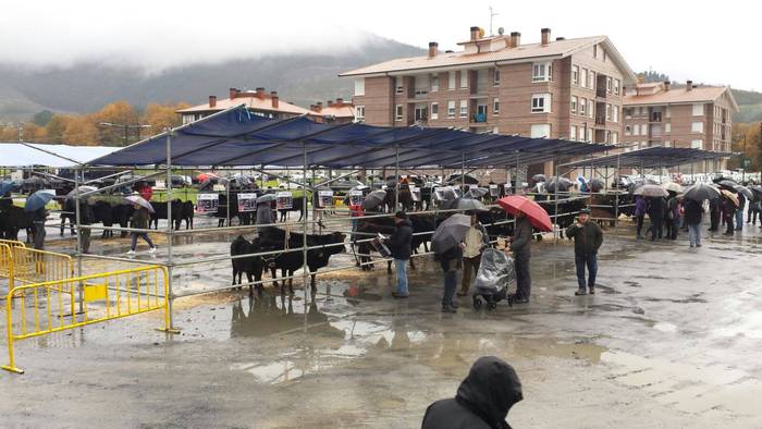 Eguraldi petrala izan arren, 17 1513617435060