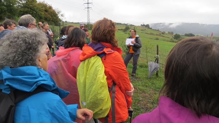 Herriko egitura geologikoa e 28 1508827363255